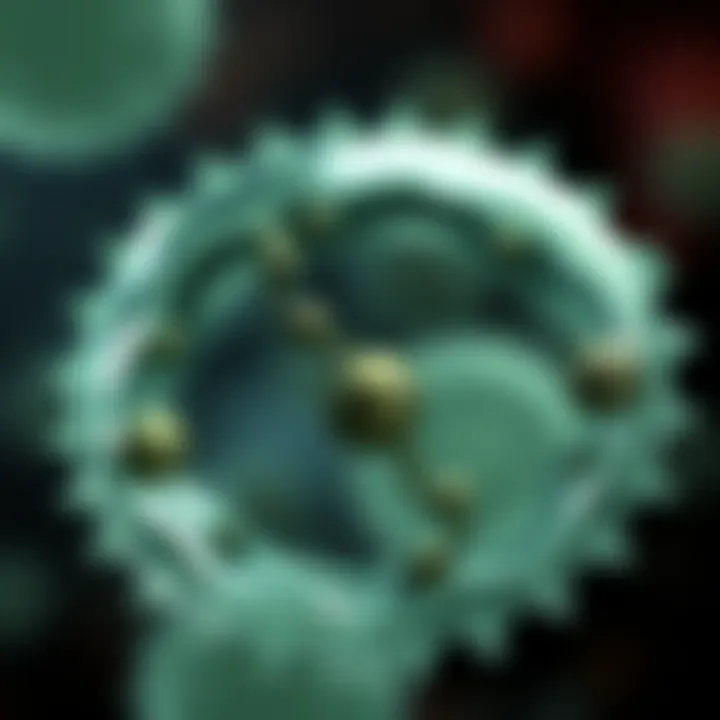 Illustration showing the replication of circular DNA molecule in a prokaryotic cell during binary fission