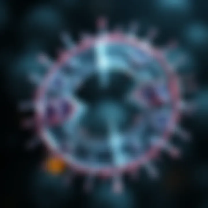 Illustration depicting stages of binary fission in prokaryotic organisms