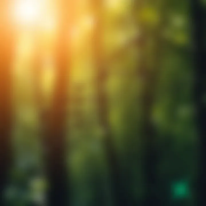 Illustration showing traversal paths in a binary search tree with nodes visited in order